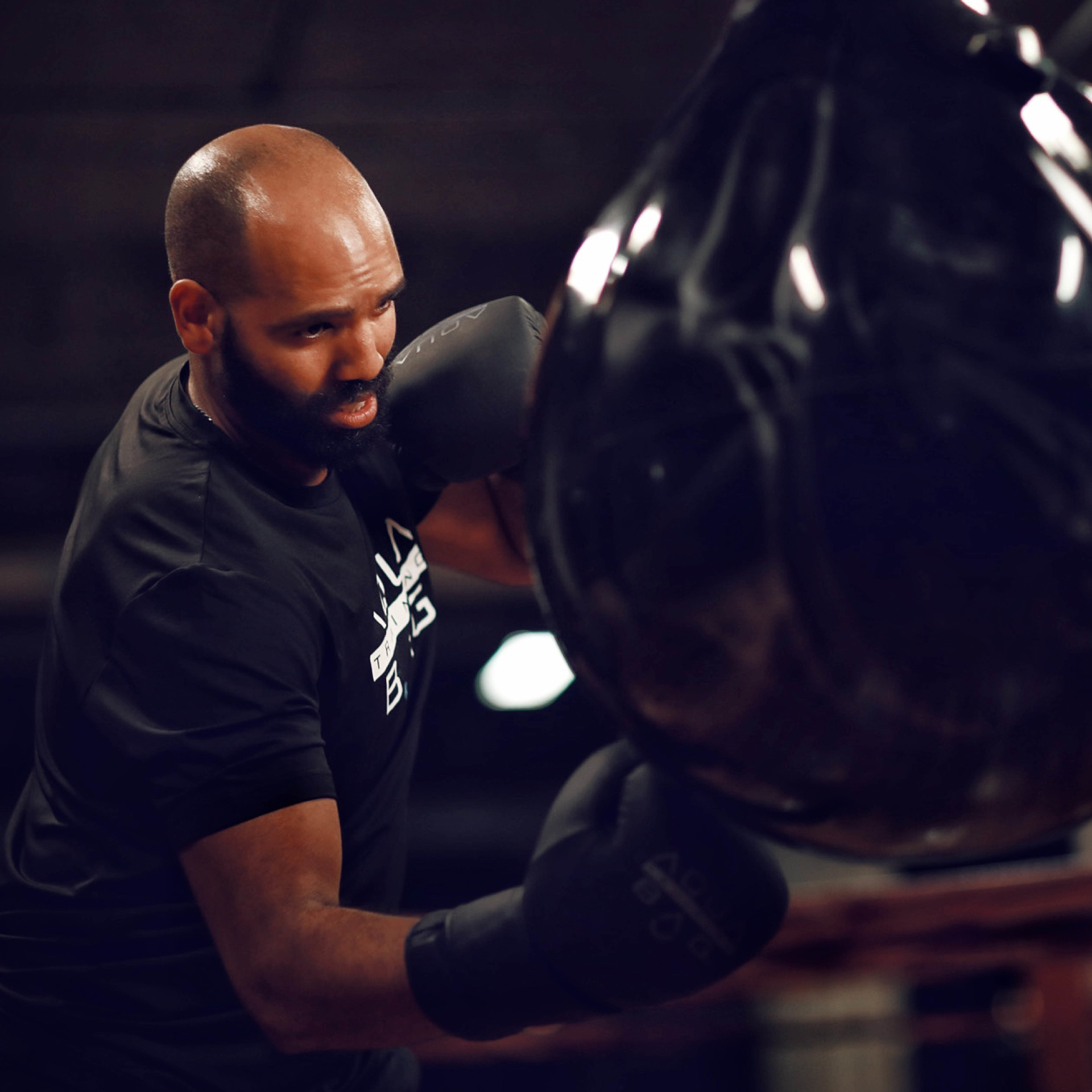 Boxer Training Punching Bag Fitness Industry